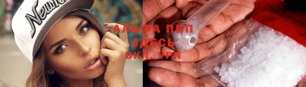 ешки Касимов