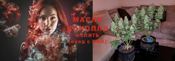сатива Кинешма